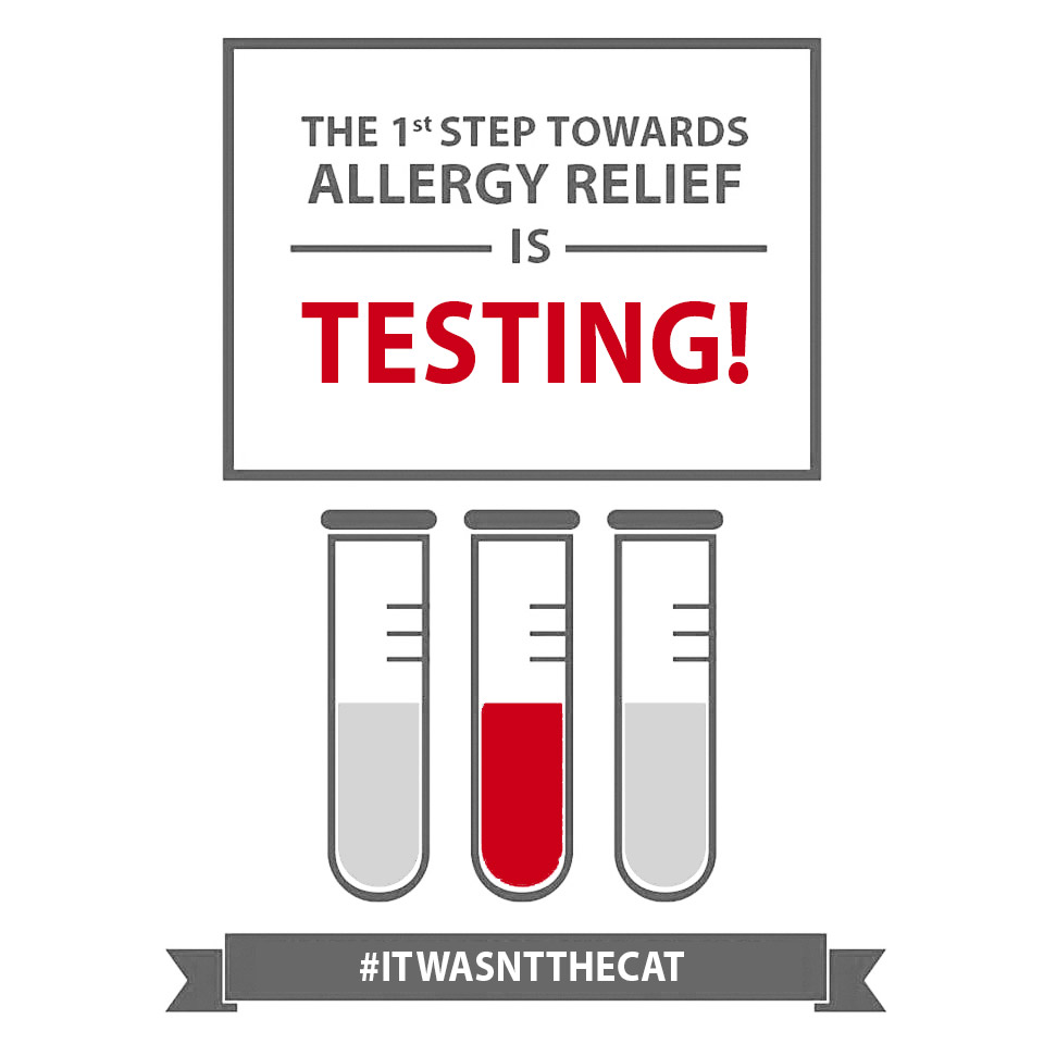 Graphic reading "The first step towards allergy relief is testing"