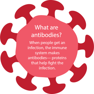 COVID Antibody testing tests for the presence of covid antibodies in your blood to see if you already had the coronavirus.