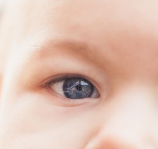 El azote de los bebés
