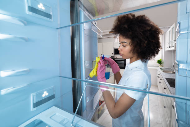 Moldy Fridge Problems