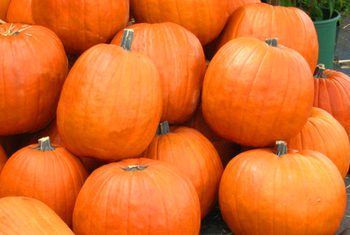 ¡La calabaza está cargada de fibra!
