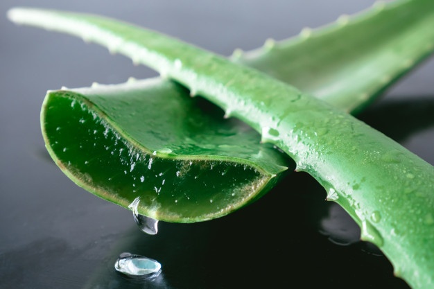 ¡Aloe vera para las ampollas!