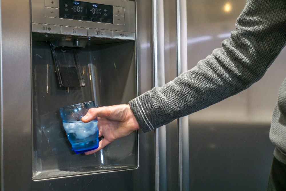 Ice Maker Germs