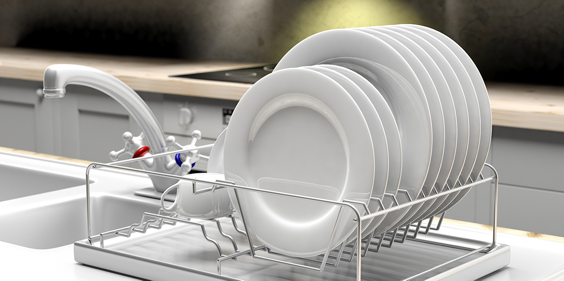 Dish Rack Germs