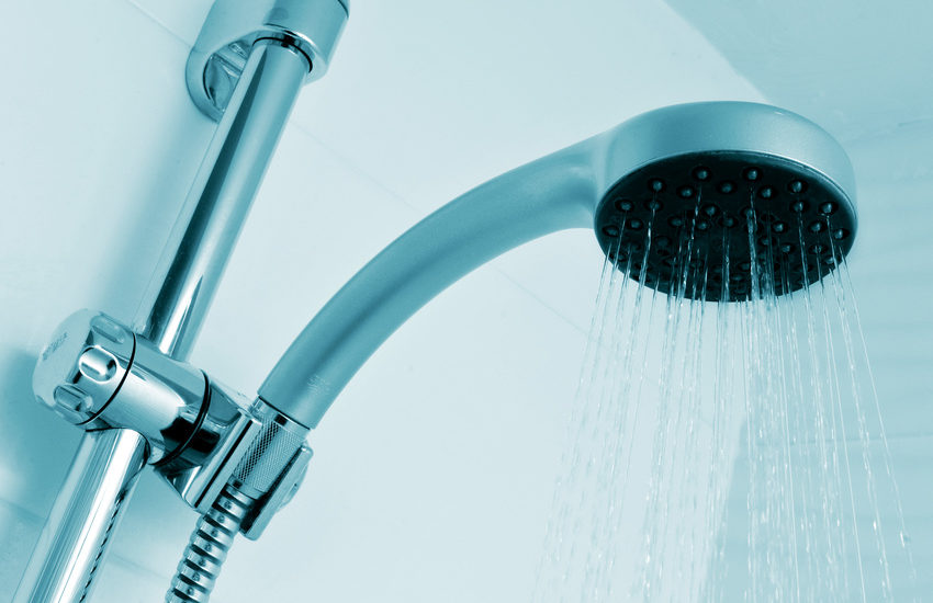 Shower Head Germs