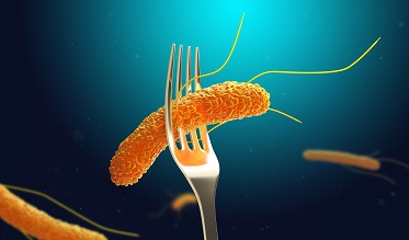 Los 8 síntomas principales de la salmonela
