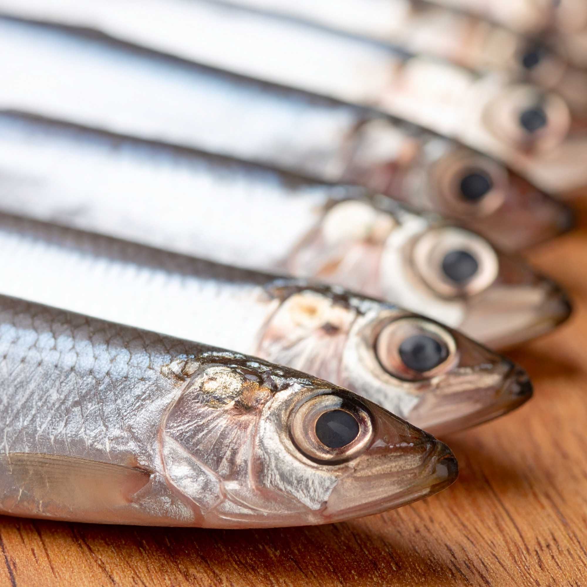 Sardines Health Benefits: Why This TikTok Trend Is Actually Good for You