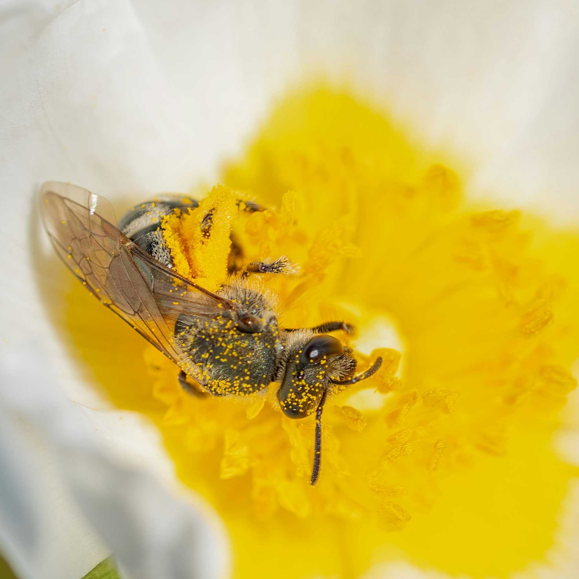 Allergy Medications Explained: What Actually Helps You Feel Better