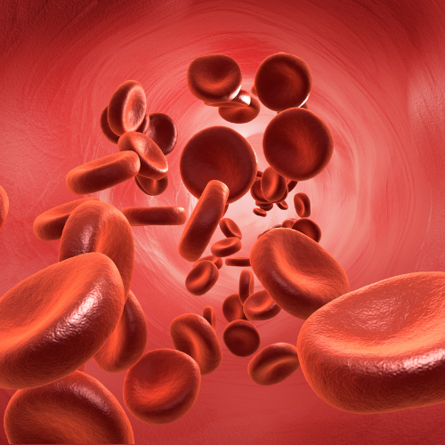Where to Get a Sickle Cell Test | Walk In at HCE