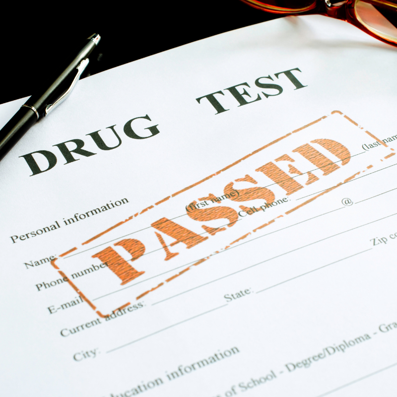 Drug Testing for Employers: What Your Program Needs